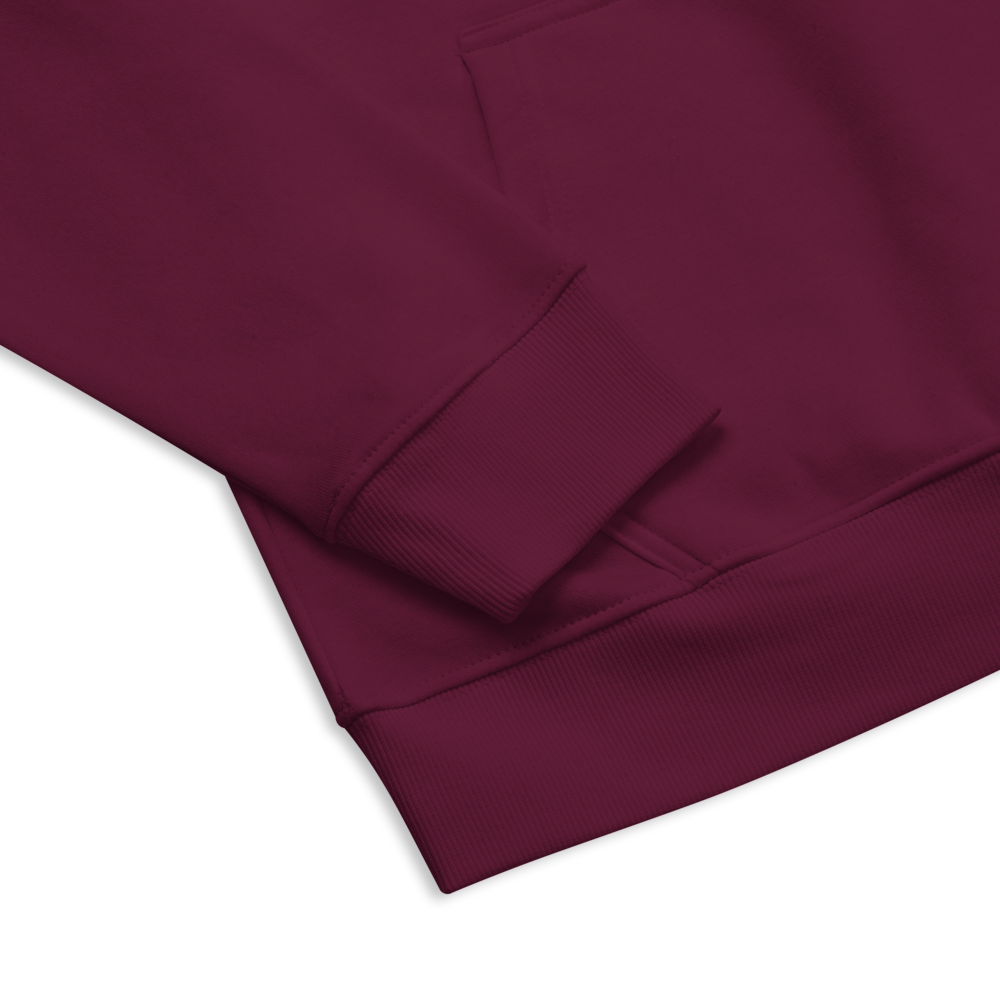 Unisex Eco Raglan Hoodie